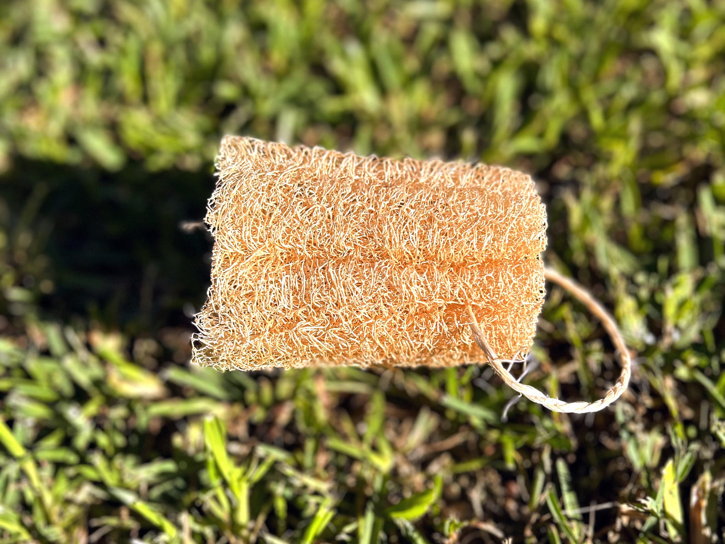 Esponja de Luffa