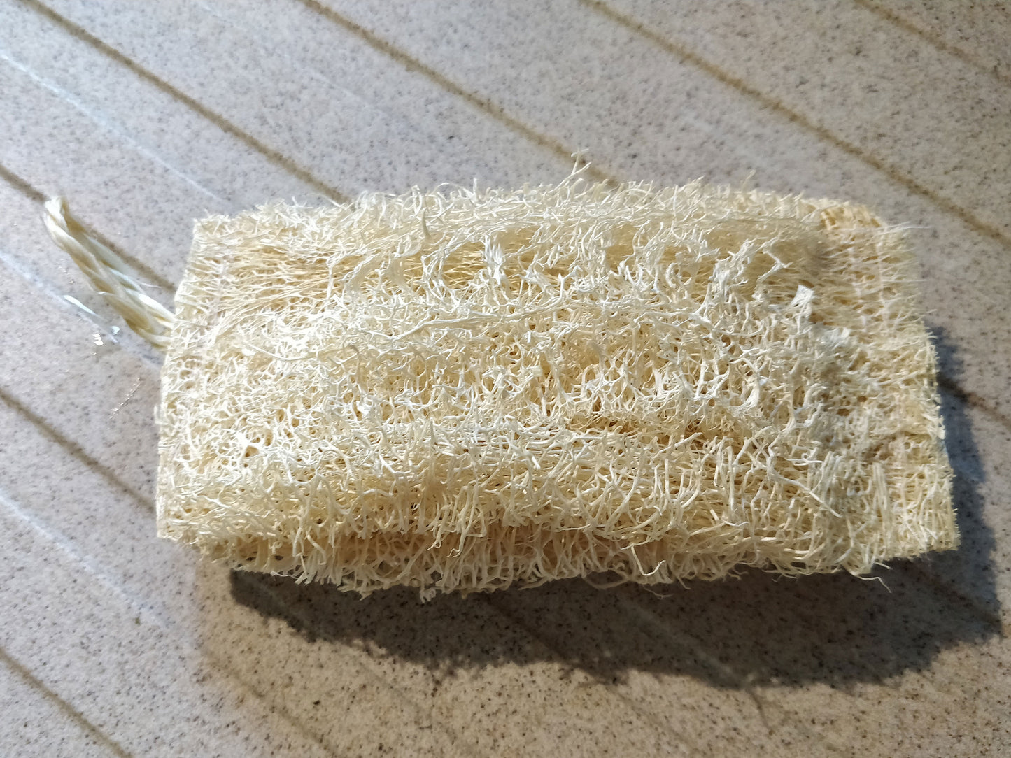 Esponja de Luffa